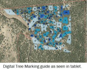 Tablet Tech and Trees Article