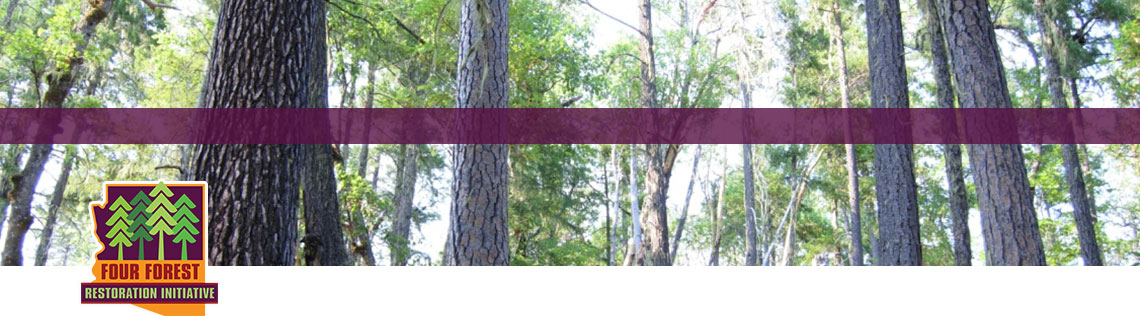 4FRI-Banner-NoText