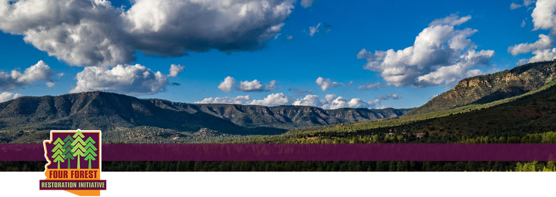 New-4FRI-Banner-NoText-Tall